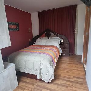Single Room Terrace